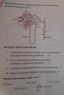 2. Böbreklerde yer alan yaklaşık bir milyon nefrondan birinin
görünümü aşağıdaki gibidir.
a
b
Buna göre, şekil incelendiğinde,
1. b bölümünde, süzülme ile geçen glikoz moleküllerinin
aktif yöntemlerle emilimi gerçekleşir. -
d
II. a ve b bölümlerinde süzülme ile geçemeyen
maddelerin salgılanması gerçekleşir. +
III. c'de suyun sadece pasif yollarla emilimi gerçekleşir. +
IV. d'de su ve mineral maddelerin emilimi gerçekleşir.
ifadelerinden hangileri doğru olur?
A) I ve III
B) Il ve IV
D) I, III ve IV
C) I, II ve Ill
✔)."
E)), II, III ve IV