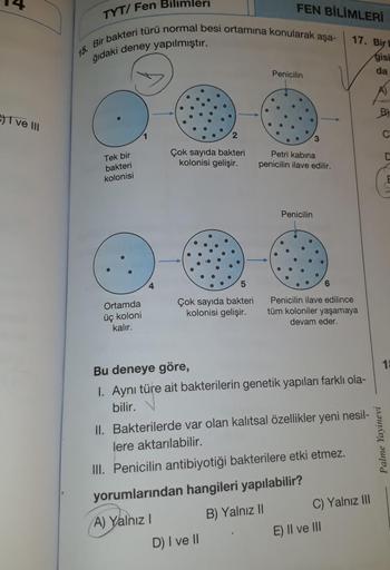 C) I ve III
TYT/Fen
Tek bir
bakteri
kolonisi
15. Bir bakteri türü normal besi ortamına konularak aşa-
ğıdaki deney yapılmıştır.
Ortamda
üç koloni
kalır.
Bilimleri
4
2
Çok sayıda bakteri
kolonisi gelişir.
5
Çok sayıda bakteri
kolonisi gelişir.
FEN BİLİMLERİ