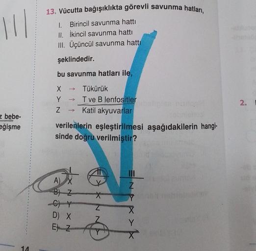 11/
z bebe-
eğişme
14
13. Vücutta bağışıklıkta görevli savunma hatları,
1. Birincil savunma hattı
II. İkincil savunma hattı
III. Üçüncül savunma hattı
şeklindedir.
bu savunma hatları ile,
X
Y ->>>
Z
-
Tükürük
T ve B lenfositler
Katil akyuvarlar
verilenleri