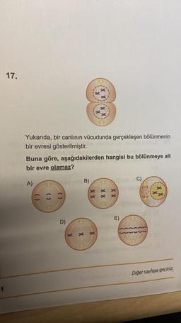 1
17.
Yukarıda, bir canlının vücudunda gerçekleşen bölünmenin
bir evresi gösterilmiştir.
Buna göre, aşağıdakilerden hangisi bu bölünmeye ait
bir evre olamaz?
A)
D)
X
X
B)
BASES
X X
X
X X
XX
E)
C)
Diğer sayfaya geçiniz.