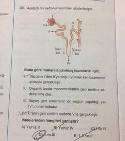 yuvar
oğ-
di.
na-
30. Aşağıda bir nefronun kısımları gösterilmiştir.
|||
İnen
kol
IV
çıkan
kol
Buna göre numaralandırılmış kısımlarla ilgili,
Süzülme I'den Il'ye doğru yüksek kan basıncının
etkisiyle gerçekleşir.
II. Organik besin monomerlerinin geri emilimi sa-
dece III'te olur.
III. Suyun geri emiliminin en yoğun yapıldığı yer
IV'ün inen koludur.
D) ve III
IV. Urenin geri emilimi sadece V'te gerçekleşir.
ifadelerinden hangileri yanlıştır?
A) Yalnız II
BY Yalnız IV
Cve IV
E) I ve III