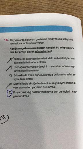 16. Hayvanlarda solunum gazlarının difüzyonunu kolaylaştı-
ran farklı adaptasyonlar vardır.
99
Aşağıda açıklanan özelliklerin hangisi, bu adaptasyon-
lara bir örnek olarak gösterilemez?
A Balıklarda solungaç lamellerindeki su hareketiyle, kan
akışının birb