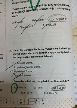 TO- i
ic-
nu-
aki
göre
aşır-
E
0
6
LL
E
kilerden hangisidi
Yukarıdaki sorunun yöneltildiği Elif, aşağıdaki han-
gi seçeneği işaretlerse soruyu doğru cevaplamış
olur?
A) Profaz I
D) Metafaz II
A) Yalnız III
7
A
11. Tarım ile uğraşan bir birey yüksek ve kaliteli bir
meyve ağacından aynı genetik yapıya sahip başka
bir meyve ağacı elde etmek isterse;
I tohumla üreme,
II. partenogenezle üreme,
III vejetatif üreme,
TV sporla üreme
üreme biçimlerinden hangilerini tercih etmelidir?
B) I ve III
D) III ve IV
B) Metafaz I
8
D
96
E
C) Anafaz II
E) Profaz II
10
C
11.
A
C) II ve II
E) I, II ve IV