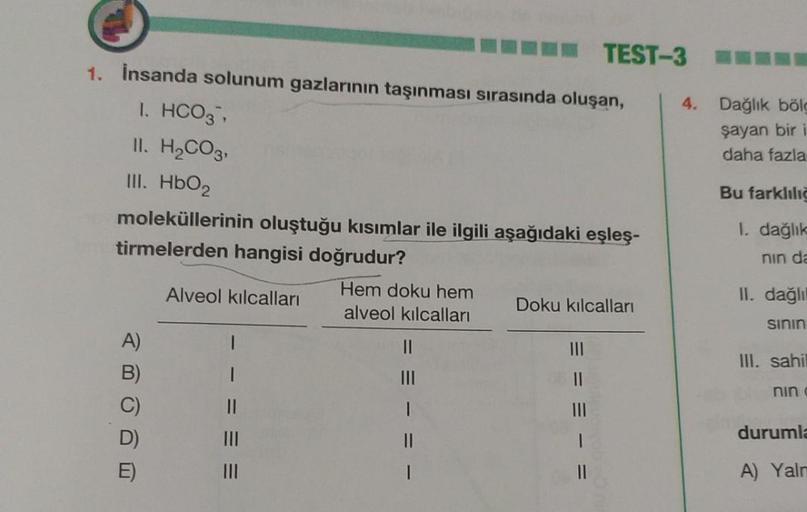 1. İnsanda solunum gazlarının taşınması sırasında oluşan,
1. HCO3,
II. H₂CO3,
III. HbO2
moleküllerinin oluştuğu kısımlar ile ilgili aşağıdaki eşleş-
tirmelerden hangisi doğrudur?
Alveol kılcalları
A)
E)
==
Hem doku hem
alveol kılcalları
||
1
TEST-3
Doku kı