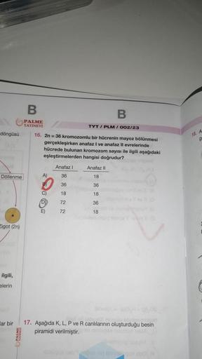 döngüsü
Döllenme
Zigot (2n)
ilgili,
elerin
ar bir
PALME
B
PALME
YAYINEVİ
TYT/PLM / 002/23
16. 2n = 36 kromozomlu bir hücrenin mayoz bölünmesi
gerçekleşirken anafaz I ve anafaz II evrelerinde
hücrede bulunan kromozom sayısı ile ilgili aşağıdaki
eşleştirmele