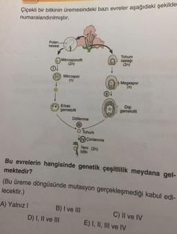 Çiçekli bir bitkinin üremesindeki bazı evreler aşağıdaki şekilde
numaralandırılmıştır.
Polen.
kesesi
A) Yalnız I
O!
Mikrosporofit
(2n)
Mikrospor
(n)
D) I, II ve III
Erkek
gametofit
Döllenme
O Tohum
IV Çimlenme
Yeni (2n)
bitki
B) I ve III
Tohum
taslağı
(2n)
Bu evrelerin hangisinde genetik çeşitlilik meydana gel-
mektedir?
(Bu üreme döngüsünde mutasyon gerçekleşmediği kabul edi-
lecektir.)
Megaspor
Dişi
gametofit
C) II ve IV
E) I, II, III ve IV