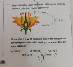 42
37. Aşağıdaki şekilde kapalı tohumlu bir bitkide üreme sırasında
meydana gelen bazı olaylar gösterilmiştir.
A) Yalnız I
11
B) Yalnız II
D) II ve III
Polen
Buna göre I, II ve III numaralı olaylardan hangilerinin
gerçekleşmesi sırasında krossing overin meydana gel-
mesi beklenir?
Yumurta
C.
III Zigot
C) I ve II
E) I, II ve III