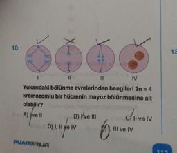 10.
10170
||
PUANYAYINLARI
IV
Yukarıdaki bölünme evrelerinden hangileri 2n = 4
kromozomlu bir hücrenin mayoz bölünmesine ait
olabilir?
A) Ive II
D) I, II y
nyow
IV
0
Josono
B) V've III
5.
C II ve IV
III ve IV
112
13