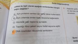 Ünite Değerlendirme
mRNA ile ilgili olarak aşağıda verilenlerden hangisi
doğru değildir?
usculo old
A) Aynı proteinin sentezi için tekrar tekrar kullanılabilir.
B) Aynı ortamda birden fazla ribozoma bağlanabilir.
C) Hücrede yapı taşlarına ayrılabilir.
D) Taşıdığı riboz şekeri sayısı fosfat sayısına eşittir.
E) DNA üzerinden ribozomda sentezlenir.
4. Aşağıdaki grafik
rev alan bazı ma
etmektedir.
ktari
Buna
aşağı