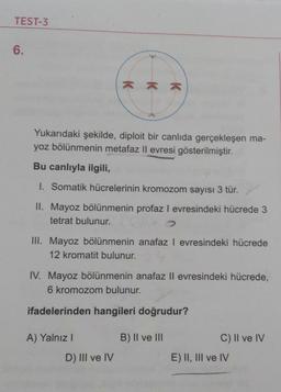 TEST-3
6.
Yukarıdaki şekilde, diploit bir canlıda gerçekleşen ma-
yoz bölünmenin metafaz II evresi gösterilmiştir.
Bu canlıyla ilgili,
I. Somatik hücrelerinin kromozom sayısı 3 tür.
II. Mayoz bölünmenin profaz I evresindeki hücrede 3
tetrat bulunur.
xxx
III. Mayoz bölünmenin anafaz I evresindeki hücrede
12 kromatit bulunur.
IV. Mayoz bölünmenin anafaz II evresindeki hücrede,
6 kromozom bulunur.
ifadelerinden hangileri doğrudur?
B) II ve III
A) Yalnız I
D) III ve IV
C) II ve IV
E) II, III ve IV