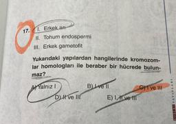 17.
1. Erkek arr
II. Tohum endospermi
III. Erkek gametofit
Yukarıdaki yapılardan hangilerinde kromozom-
lar homologları ile beraber bir hücrede bulun-
maz?
AYalnız I
DHI ve III
B) Ive ll
E) I, 1 ve 111
C) ve III
ROBERT YAYINLARI