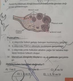 4.
Aşağıda mestrual döngü boyunca ovaryumda görülen deği-
şimler gösterilmiştir.
Korpus
luteum
Birincil oosit
a
Buna göre,
1. a olayında folikül gelişip östrojen hormonunu salgilar.
II. b olayında FSH'ın etkisiyle ovulasyon gerçekleşir.
şir.
ifadelerinden hangileri doğrudur?
A) I ve II
İkincil oosit
III. c olayında yırtık folikülün etrafını yağsı bir tabaka kap-
layıp korpus luteum oluşur.
By Love III
İkincil oosit
IV. Menstrual döngüde olaylar e abşeklinde gerçekle-
apboo
D) I, II ve III
C) I ve IV
E) I, II, 1Il ve IV
77