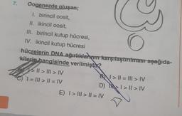 7.
Oogenezde oluşan;
1. birincil oosit,
II. ikincil oosit,
III. birincil kutup hücresi,
IV. ikincil kutup hücresi
hücrelerin DNA ağırlıklarının karşılaştırılması aşağıda-
kilerin hangisinde verilmiştir?
II > III > IV
1 = ||| > || = |V
B> || = ||| > IV
D)
> I > II > IV
E) | > ||| > || = IV