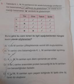 3.
Tabloda K, L, M, N canlılarının bir arada bulunduğu sınıflandır-
ma basamaklar"" sembolü ile gösterilirken, bir arada bulun-
madığı basamaklar "X" sembolü ile gösterilmiştir.
K
L
M
N
Tür
X
✓
X
Cins
✓
✓
✓
X
Takım
V
✓
✓
✓
Şube
✓
✓
✓
✓
Buna göre bu canlı türleri ile ilgili aşağıdakilerden hangisi
kesin olarak söylenemez?
A) Kve M canlıları çiftleştiklerinde verimli döl oluşturabilirler.
B) N canlısı cins basamağında K, L, M canlılarından ayrılmış-
tır.
C) K, L, M, N canlıları aynı âlem içerisinde yer alırlar.
D) Kile L canlısı arasındaki protein benzerliği M ile N canlıları-
nın benzerliğinden fazladır.
E) KLM, N canlıları aynı yaşam birliğinde iki farklı cins üç
farklı tür oluşturur.