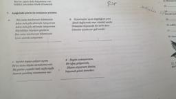 Bin bir şanla dolu hayatımız var,
İstiklal yolundan ölsek dönmeyiz
7- Aşağıdaki şiirlerin temasını yazınız.
Ben sana mecburum bilemezsin
Adını mıh gibi aklımda tutuyorum
Adını mıh gibi aklımda tutuyorum
Büyüdükçe büyüyor gözlerin
Ben sana mecburum bilemezsin
İçimi seninle ısıtıyorum Asl
a-
C- - Ayrılık kapıyı çalıyor açma
Biraz daha düşün zamanımız var.
Ne günler yaşadık bak sayfa sayfa
Seninle yazılmış romanımız var.
Siir
b- Uçun kuşlar uçun doğduğum yere
Şimdi dağlarında mor sümbül vardır
Ormanlar koynunda bir serin dere
Dikenler içinde sarı gül vardır
d - Bugün uzanıyorsam,
Bir ağaç gölgesinde,
Oltamı atıyorsam denize,
Yaşamak güzel demektir.
12-Misraların
13-
***************
14-.
sonraki üçlü
15-
16-aabb s
17-
18-Sava
21-T
şiir t