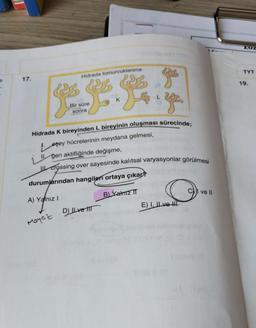 17.
Hidrada tomurcuklanma
Bir süre
sonra
A) Yalnız I
K
es
Hidrada K bireyinden L bireyinin oluşması sürecinde;
eşey hücrelerinin meydana gelmesi,
gen aktifliğinde değişme,
I crossing over sayesinde kalıtsal varyasyonlar görülmesi
durumlarından hangileri ortaya çıkar?
B) Yalnız IT
Moyez Dve T
333
E) I, II ve III
I ve II
ZUZ
TYT
19.