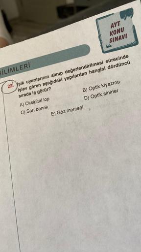 BİLİMLERİ
A) Oksipital lop
C) Sarı benek
AYT
KONU
SINAVI
Col
pealpine
B) Optik kiyazma
D) Optik sinirler
22! Işık uyarılarının alınıp değerlendirilmesi sürecinde
işlev gören aşağıdaki yapılardan hangisi dördüncü
sırada iş görür?
E) Göz merceği