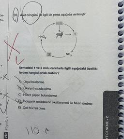 ou-
du-
-+
-X
A
VİP Yayınları
(69
20. Azot döngüsü ile ilgili bir şema aşağıda verilmiştir.
HNO2
2
NH3
Şemadaki 1 ve 2 nolu canlılarla ilgili aşağıdaki özellik-
lerden hangisi ortak olabilir?
A) Otçul beslenme
B Ökaryot yapıda olma
C) Hücre çeperi bulundurma
Dinorganik maddelerin oksitlenmesi ile besin üretme
E) Çok hücreli olma
110 ~
YT DENEME-2