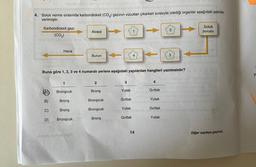 4. Soluk verme sırasında karbondioksit (CO₂) gazının vücuttan çıkarken sırasıyla izlediği organlar aşağıdaki şekilde
verilmiştir.
Karbondioksit gazı
(CO₂)
Hava
A)
B)
C)
D)
1
Alveol
Bronşcuk
Bronş
Bronş
Bronşcuk
Burun
2
Bronş
Bronşcuk
Bronşcuk
Buna göre 1, 2, 3 ve 4 numaralı yerlere aşağıdaki yapılardan hangileri yazılmalıdır?
Bronş
3
Yutak
Gırtlak
Yutak
4
Gırtlak
Nd ne neh
14
4
CHIRAS
Gırtlak
CHICA
Yutak
Gırtlak
2
Yutak
3
aplin
Soluk
borusu
cumulo 1202
evronblicul
ton min 310089150 ans
gov
Diğer sayfaya geçiniz.
7