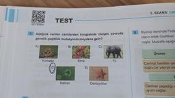 OC150891
1.
Aşağıda verilen canlılardan hangisinde oluşan yavruda
genetik çeşitlilik mutasyonla meydana gelir?
A)
B)
C)
Kurbağa
TEST
DY
Bakteri
Elma
E)
Denizyıldızı
Fil
5.
3. SEANS: CAL
Biyoloji dersinde Firde
lıların ortak özellikleri
miştir. Mustafa aşağıc
Üreme
Canlılar basitten ge
doğru bir yapıya sa
Canlılar yaşadığı c
uyum sağlar.