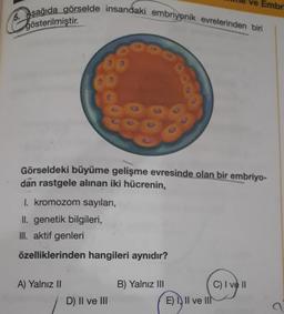 5. Aşağıda görselde insandaki embriyonik evrelerinden biri
gösterilmiştir.
Görseldeki büyüme gelişme evresinde olan bir embriyo-
dan rastgele alınan iki hücrenin,
1. kromozom sayıları,
II. genetik bilgileri,
III. aktif genleri
özelliklerinden hangileri aynıdır?
A) Yalnız II
D) II ve III
B) Yalnız III
ve Embri
E) II ve II
C) I ve II