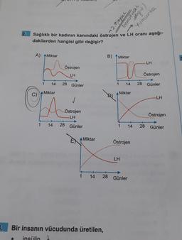 3.
2.
A) Miktar
O
1
Sağlıklı bir kadının kanındaki östrojen ve LH oranı aşağı-
dakilerden hangisi gibi değişir?
14 28
A Miktar
Östrojen
LH
1 14
Günler
✓
..Östrojen
-LH
28
Günler
EX Miktar
1 14
B)
Bir insanın vücudunda üretilen,
insülin
Miktar
1
→2. @seysel
1
Miktar
LH
14
DC
28
Östrojen
28 Günler
(menstural
14
h Supp
Yumurta
LH
Östrojen
28
Günler
-LH
Östrojen
Günler