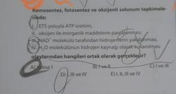 Kemosentez, fotosentez ve oksijenli solunum tepkimele-
rinde;
ETS yoluyla ATP üretimi,
II. oksijen ile inorganik maddelerin parçalanması,
H NAD* molekülü tarafından hidrojenterin yakalanması,
planması,
W.H₂O molekülünün hidrojen kaynağı olarak kullanılması
olaylarından hangileri ortak olarak gerçekleşir?
A) Yalnız I
B)tvell
Que
D), III ve IV
E) I, II, III ve IV
C) I ve III