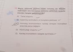 18. Mayoz bölünme geçiren kapalı tohumlu bir bitkinin
makrospor ana hücresinin bölünme sürecinde aşağıda-
kilerden hangisi gerçekleşmez?
A) Tetrat oluşumu
B) Eşlenmiş sentriollerin zıt kutuplara çekilmesi
20 Homolog kromozomların kardeş olmayan kromatitleri
arasında parça değişimi
D) Hücre plağı oluşumu
E) Kardeş kromatitlerin rastgele ayrılması