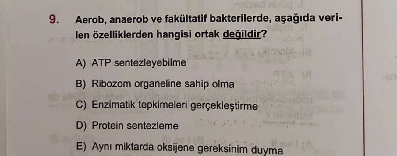 9.
Aerob, anaerob ve fakültatif bakterilerde, aşağıda veri-
len özelliklerden hangisi ortak değildir?
A) ATP sentezleyebilme
B) Ribozom organeline sahip olma
h
heb
C) Enzimatik tepkimeleri gerçekleştirme
woulist
D) Protein sentezleme
Layla
E) Aynı miktarda