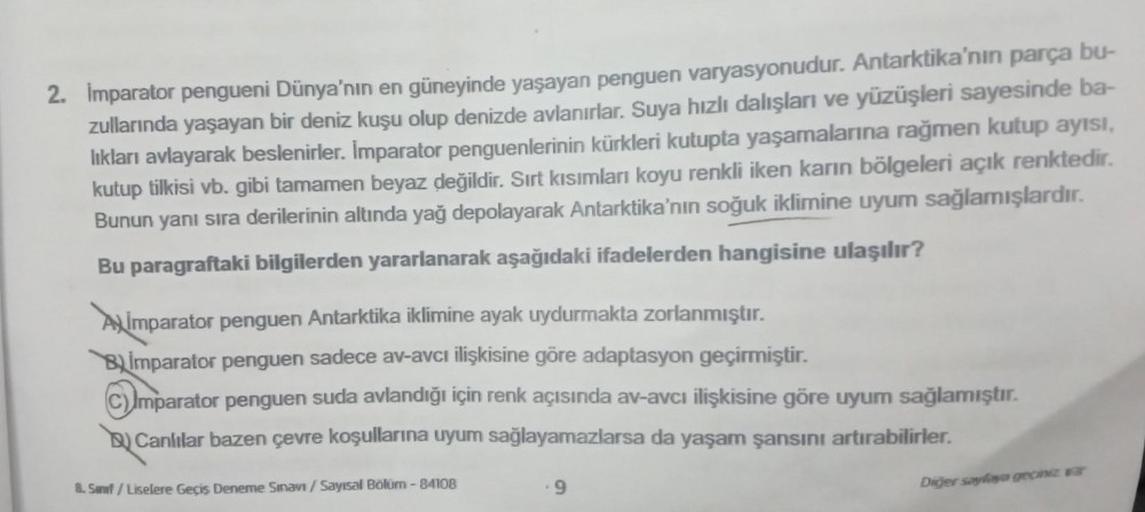 2. İmparator pengueni Dünya'nın en güneyinde yaşayan penguen varyasyonudur. Antarktika'nın parça bu-
zullarında yaşayan bir deniz kuşu olup denizde avlanırlar. Suya hızlı dalışları ve yüzüşleri sayesinde ba-
lıkları avlayarak beslenirler. İmparator penguen