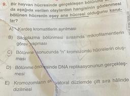 9.
Bir hayvan hücresinde gerçekleşen bölünm
da aşağıda verilen olaylardan hangisinin gözlenmesi
bölünen hücrenin eşey ana hücresi olduğunu kanıt-
lar?
A) Kardeş kromatitlerin ayrılması
B) Sitoplazma bölünmesi sırasında mikrofilamentlerin
görev yapması
Bölünme sonucunda "n" kromozomlu hücrelerin oluş-
masi
1117 YE RENK YAYINLARI
D) Bölünme öncesinde DNA replikasyonunun gerçekleş-
mesi
E) Kromozomların ek vatoral düzlemde çift sıra hâlinde
dizilmesi