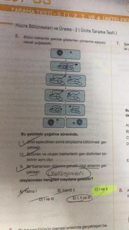 TARAMA TESTİ-5 (1.2.3. VE 4. ÜNİTELER
Hücre Bölünmeleri ve Üreme-2 (Ünite Tarama Testi)
5. Bütün bakteriler şekilde gösterilen yöntemle eşeysiz
olarak çoğalabilir.
C
Bu şekildeki çoğalma sürecinde,
U
DNA eşlendikten sonra sitoplazma bölünmesi ger-
çekleşir.
II. Bölünen ve oluşan bakterilerin gen dizilimleri bir-
birinin aynı olur.
III. Bir bakteriden diğerine genetik bilgi aktarımı ger-
çekleşir.
Konjugasyon
olaylarından hangilert meydana gelebilir?
AYalnız I
DI ve III
B) Yalniz II
E) I, II ye Ill
C) I ve II
Dir houeran türünün üremesi sırasında gerçekleşen ba-
7. Şek
larg
Bu
da
A)
B)
C
D
E
8. A