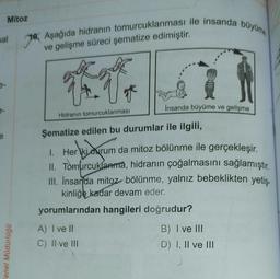 Mitoz
sal
enel Müdürlüğü
pos
Aşağıda hidranın tomurcuklanması ile insanda büyüme
ve gelişme süreci şematize edimiştir.
Hidranın tomurcuklanması
İnsanda büyüme ve gelişme
Şematize edilen bu durumlar ile ilgili,
1. Her iki durum
ki durum
da mitoz bölünme ile gerçekleşir.
II. Tomurcuklanma, hidranın çoğalmasını sağlamıştır.
III. Insanda mitoz bölünme, yalnız bebeklikten yetiş
kinliğe kadar devam eder.
yorumlarından hangileri doğrudur?
A) I ve II
C) II ve III
B) I ve III
D) I, II ve III