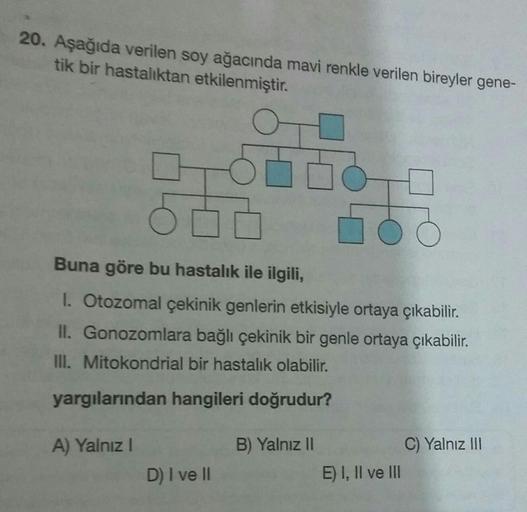 20. Aşağıda verilen soy ağacında mavi renkle verilen bireyler gene-
tik bir hastalıktan etkilenmiştir.
A) Yalnız I
o
Buna göre bu hastalık ile ilgili,
1. Otozomal çekinik genlerin etkisiyle ortaya çıkabilir.
II. Gonozomlara bağlı çekinik bir genle ortaya ç