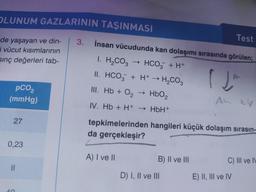 OLUNUM GAZLARININ TAŞINMASI
de yaşayan ve din-
i vücut kısımlarının
sınç değerleri tab-
pCO₂
(mmHg)
27
0,23
||
40
3. İnsan vücudunda kan dolaşımı sırasında görülen;
HCO3 + H+
H+ → H₂CO3
1. H₂CO3
II. HCO3 +
III. Hb + 0₂
HbO₂
IV. Hb + H+ → HbH+
A) I ve II
B) II ve III
Test
tepkimelerinden hangileri küçük dolaşım sırasın-
da gerçekleşir?
D) I, II ve III
12²
An kip
C) III ve IV
E) II, III ve IV