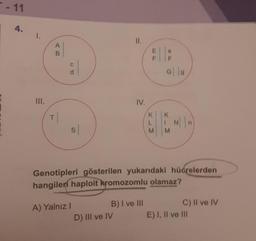 -11
4.
1.
III.
A
B
T
:
S
A) Yalnız I
II.
IV.
D) III ve IV
B) I ve III
KLM
G||G
Y_M
Genotipleri gösterilen yukarıdaki hücrelerden
hangileri haploit kromozomlu olamaz?
K
N||n
C) II ve IV
E) I, II ve III