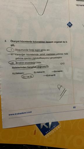 2.
Ökaryot hücrelerde bulunabilen lizozom organeli ile il-
gili.
1. Oluşumunda Golgi aygıtı görev alır.
H. Karaciğer hücrelerinde zehirli maddeleri zehirsiz hale
getirme işlemini (detoksifikasyonu) gerçekleştirir.
III. Sindirim enzimlerini üretir.
ifadeler
