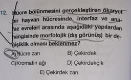 12. Hücre bölünmesini gerçekleştiren ökaryot
bir hayvan hücresinde, interfaz ve ana-
faz evreleri arasında aşağıdaki yapılardan
hangisinde morfolojik (dış görünüş) bir de-
ğişiklik olması beklenmez?
A) Hücre zarı
C) Kromatin ağı
B) Çekirdek
D) Çekirdekçik
E) Çekirdek zarı