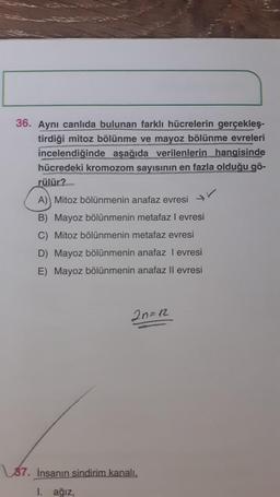 36. Aynı canlıda bulunan farklı hücrelerin gerçekleş-
tirdiği mitoz bölünme ve mayoz bölünme evreleri
incelendiğinde aşağıda verilenlerin hangisinde
hücredeki kromozom sayısının en fazla olduğu gö-
rülür?
A) Mitoz bölünmenin anafaz evresi →
B) Mayoz bölünmenin metafaz I evresi
C) Mitoz bölünmenin metafaz evresi
D) Mayoz bölünmenin anafaz I evresi
E) Mayoz bölünmenin anafaz II evresi
2n=12
87. İnsanın sindirim kanalı.
1. ağız,