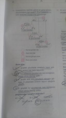 15. X kromozomu üzerinde çekinik bir genle kalitilan,
renk körlüğüyle ilgili olarak P. R ve S ailelerinin du-
numu aşağıdaki soyağacında gösterilmiştir.
(P ailesi
ver
xr
1. grup çocuklar
R ailesi
2. grup çocuklar
D)
x%
xel
Renk körü erkek
Sallesi
: Normal görüşlü dişi
Renk körü dişi
: Normal görüşlü erkek
xty
3. grup çocuklar
ve III
#kr
Buna göre,
gruptaki çocuklarda erkeklerin hepsi renk
körü, kızların ise hepsi taşıyıcıdır.
ve S ailelerinin çocuklarında renk körlüğünün
ortaya çıkma olasılığı eşittir.
2. grupta renk körü çocukların dünyaya gel-
mesi, R ailesindeki annenin taşıyıcı olduğunu
gösterir.
IV 3. gruptaki kız çocuklarında renk körlüğünün
ortaya çıkma olasılığı yoktur.
yargılarından hangileri doğrudur?
A) I ve
B) Il V
CHI ve IV
E) II, III ve IV
16. Bir canly
gerçekle
Ogrenc
ile ilgili
Berk
geçirm
Kayra
resinis
Berat:
Heere
şur,
Serca
ler m
10nm
yoru
Bur
rud
-
A)
B
C)
D)
E