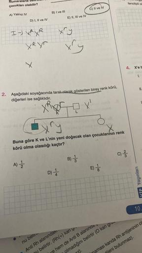 Numaralarla
çocukları olabilir?
A) Yalnız IV
D) I, II ve IV
I- XR X R
XRyn
X
off bal hie
B) I ve III
A) 12/12
E) II, III ve IV
xry
2. Aşağıdaki soyağacında taralı olarak gösterilen birey renk körü,
diğerleri ise sağlıklıdır.
ry
D) 1/1/1
ry
Buna göre K ve L