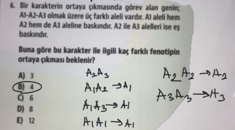 6. Bir karakterin ortaya çıkmasında görev alan genin;
A1-A2-A3 olmak üzere üç farklı aleli vardır. A1 aleli hem
A2 hem de A3 aleline baskındır. A2 ile A3 alelleri ise eş
baskındır.
Buna göre bu karakter ile ilgili kaç farklı fenotipin
ortaya çıkması beklen