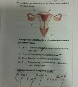 36. Aşağıdaki şekilde insana ait dişi üreme sisteminin kısım-
ları gösterilmiştir.
1.
Buna göre şekildeki harflerle gösterilen kısımlarla il-
gili olarak yapılan;
X→
Z
1
→→K
Döllenme olduğunda oogenezin tamamlan-
dığı kısım
II. Y→ Döllenmenin gerçekleştiği kısım
III. Z→
Östrojen hormonu salgılayan kısım
IV. K Parçalanmış endometriyum dokusunun
dışarı atıldığı kısım
eşleştirmelerinden hangileri yanlıştır?
A) Yalniz II
B) Yalnız IV
D) I ve/v
E) II ve III
C) I ve I