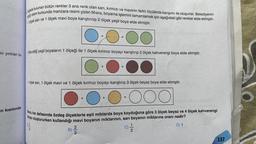 mı yırtılan bu
an kısmında
Doğada bulunan bütün renkler 3 ana renk olan sarı, kırmızı ve mavinin farklı ölçülerde karışımı ile oluşurlar. Belediyenin
actiği resim kursunda manzara resmi çizen Mısra, boyama işlemini tamamlamak için aşağıdaki gibi renkler elde etmiştir.
1 ölçek sarı ve 1 ölçek mavi boya karıştırılıp 2 ölçek yeşil boya elde etmiştir.
OO
· Elde ettiği yeşil boyaların 1 ölçeği ile 1 ölçek kırmızı boyayı karıştırıp 2 ölçek kahverengi boya elde etmiştir.
OO
B)
+
1 ölçek sarı, 1 ölçek mavi ve 1 ölçek kırmızı boyayı karıştırıp 3 ölçek beyaz boya elde etmiştir.
O
OOO
+
23
+
=
+
Misra, her defasında özdeş ölçeklerle eşit miktarda boya koyduğuna göre 3 ölçek beyaz ve 4 ölçek kahverengi
boyayı oluştururken kullandığı mavi boyanın miktarının, sarı boyanın miktarına oranı nedir?
ALIO
C)/1/12
D) 1
137