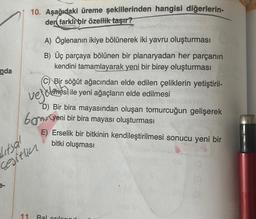 nda
10. Aşağıdaki üreme şekillerinden hangisi diğerlerin-
den farklı bir özellik taşır?
A) Öglenanın ikiye bölünerek iki yavru oluşturması
B) Üç parçaya bölünen bir planaryadan her parçanın
kendini tamamlayarak yeni bir birey oluşturması
(C) Bir söğüt ağacından elde edilen çeliklerin yetiştiril-
velmesi ile yeni ağaçların elde edilmesi
vejaten
D) Bir bira mayasından oluşan tomurcuğun gelişerek
bomu yeni bir bira mayası oluşturması
litsal
cesitlin
E) Erselik bir bitkinin kendileştirilmesi sonucu yeni bir
bitki oluşması