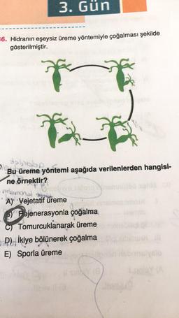 3. Gün
6. Hidranın eşeysiz üreme yöntemiyle çoğalması şekilde
gösterilmiştir.
AT
dabasp
Bu üreme yöntemi aşağıda verilenlerden hangisi-
ne örnektir?
Atlan
A) Vejetatif üreme
Jud
Pejenerasyonla çoğalma
Tomurcuklanarak üreme
D) ikiye bölünerek çoğalma
E) Sporla üreme