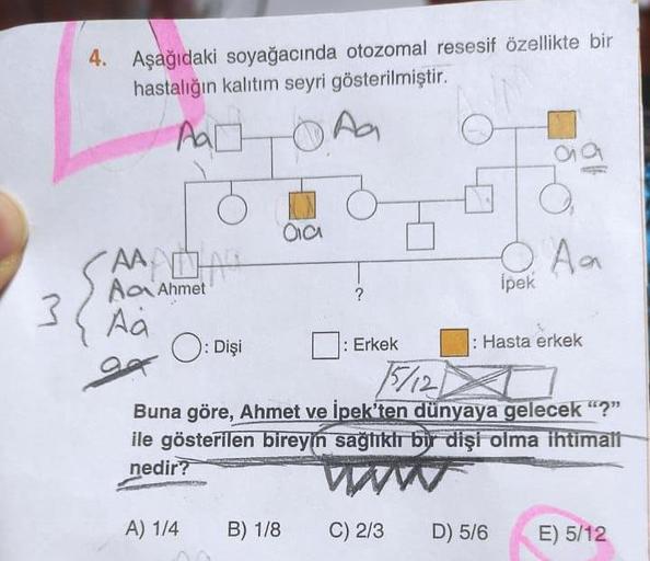 3
4. Aşağıdaki soyağacında otozomal resesif özellikte bir
hastalığın kalıtım seyri gösterilmiştir.
Aa
Aa₂
AANDA
AAhmet
Aa
94
O
A) 1/4
Oia
B) 1/8
O: Dişi
15/12
Buna göre, Ahmet ve İpek'ten dünyaya gelecek "?"
ile gösterilen bireyin sağlıklı bir dişi olma ih