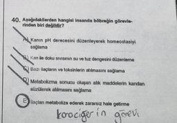 40. Aşağıdakilerden hangisi insanda böbreğin görevle-
rinden biri değildir?
A Kanin pH derecesini düzenleyerek homeostasiyi
sağlama
Kan ile doku sivisinin su ve tuz dengesini düzenleme
Bazı ilaçların ve toksinlerin atılmasını sağlama
Metabolizma sonucu oluşan atık maddelerin kandan
süzülerek atılmasını sağlama
ilaçları metabolize ederek zararsız hale getirme
koociger in gorevi