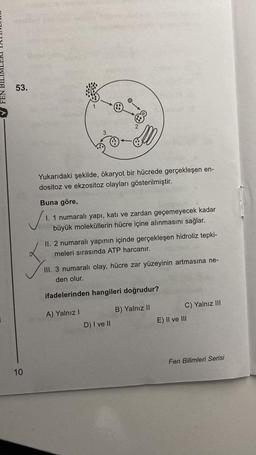 FEN
53.
10
Yukarıdaki şekilde, ökaryot bir hücrede gerçekleşen en-
dositoz ve ekzositoz olayları gösterilmiştir.
Buna göre,
✓i
3
50-M
I. 1 numaralı yapı, katı ve zardan geçemeyecek kadar
büyük moleküllerin hücre içine alınmasını sağlar.
II. 2 numaralı yapının içinde gerçekleşen hidroliz tepki-
meleri sırasında ATP harcanır.
III. 3 numaralı olay, hücre zar yüzeyinin artmasına ne-
den olur.
ifadelerinden hangileri doğrudur?
A) Yalnız I
D) I ve II
B) Yalnız II
C) Yalnız III
E) II ve III
Fen Bilimleri Serisi