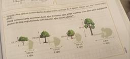 14. Aşağıda 4 tane ağaç ve bunların boyları ile gölge boyları verilmiştir. Bu 4 ağaçtan 3 tanesi aynı ilde 1 tanesi başka
ildedir.
Güneş ışınlarının geliş açısından dolayı ağaç boylarının ağaç gölge boylarına oranı illere göre değişkenlik
gösterir. Bu bilgi doğrultusunda farklı ilde olan ağaç kaçıncı ağaçtır?
120 cm
240 cm
160 cm
1. ağaç
320 cm
2. ağaç
120 cm
3,6 m
300 cm
3. ağaç
4,8 m
4. ağaç
orjin